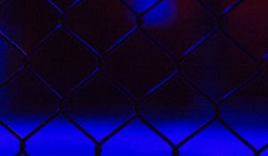 Conor McGregor: From UFC Champion to Irish Presidential Contender