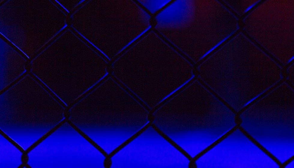Conor McGregor's Stout New Venture with BKFC